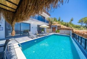 Villa Moskova 2 2 Resim