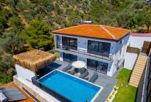 Villa Moskova 5 2 Resim