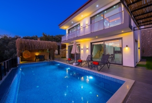 Villa Moskova 3 2 Resim
